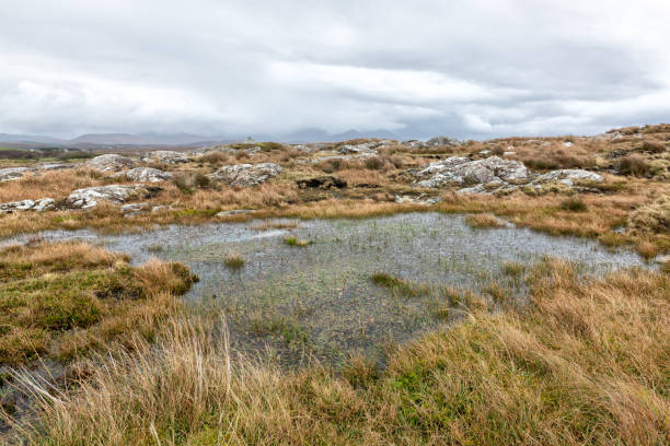 istock Bog at Derrigimlagh, Connemara, Ireland 1074737772