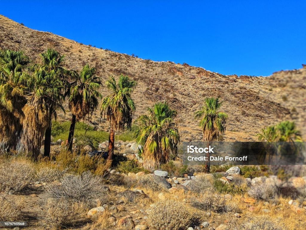 Palm Springs California Indian Canyon Taken in late November California Stock Photo