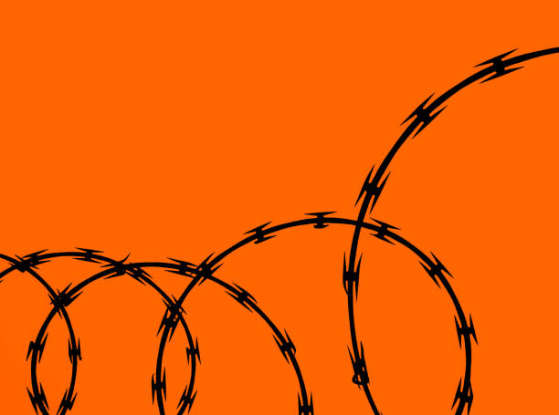 istock Coils or Circles of Razor Wire 1074744474