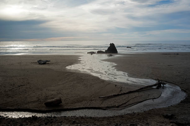 istock A Small Stream Entering the Pacific Ocean at Cannon Beach, Oregon 1074747596