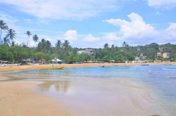 istock Landscape Unavatuna protected the Indian Ocean Sri Lanka 1074756528