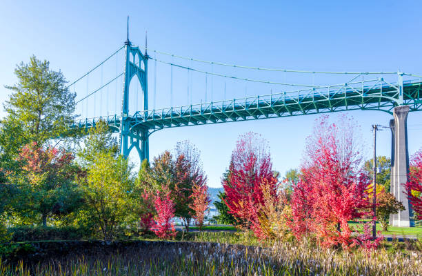 秋の公園の色でポートランドのゴシック アーチ st johjns 橋 - saint johns river ストックフォトと画像