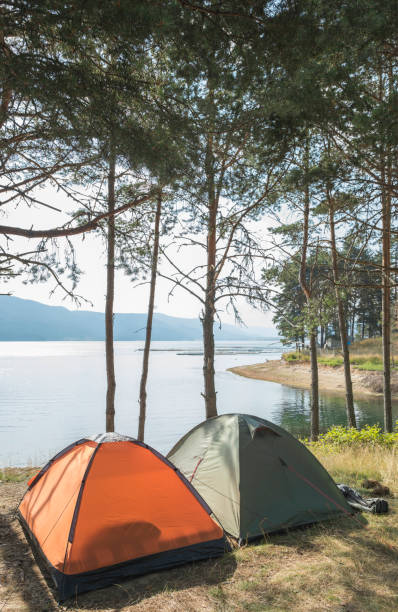 istock Tents in the forest. 1074761874
