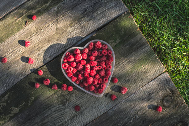 Close-up of fresh raspberries in wooden bowl on dark rustic table. Natural organic summer fruits in vintage food photography style.