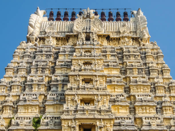 istock Sri Ekambaranathar Temple in Kanchipuram, India. 1074771754