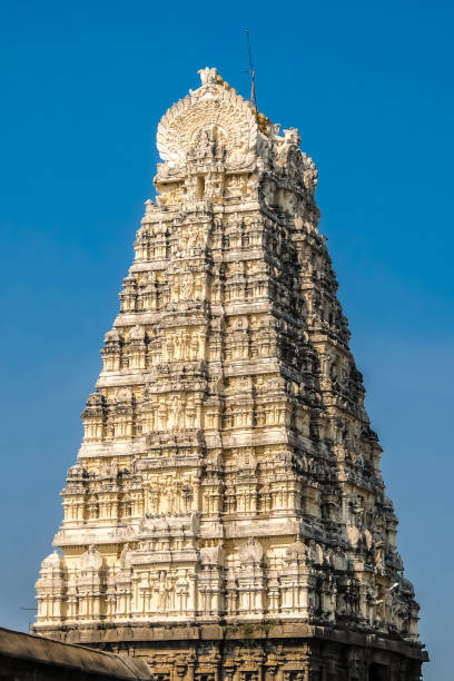 istock Sri Ekambaranathar Temple in Kanchipuram, India. 1074772002