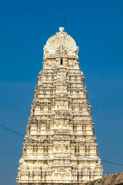 istock Sri Ekambaranathar Temple in Kanchipuram, India. 1074772078