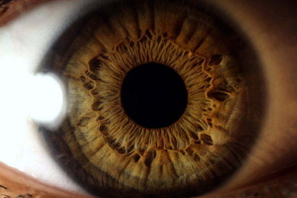 très gros plan de l’oeil humain - close up human eye photography color image photos et images de collection