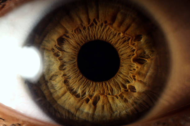 istock Extreme Close-Ups of the Human Eye 1074775382