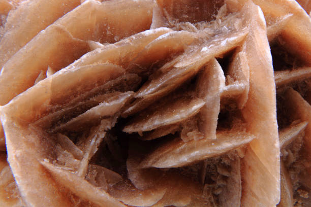 istock desert rose mineral background 1074790168