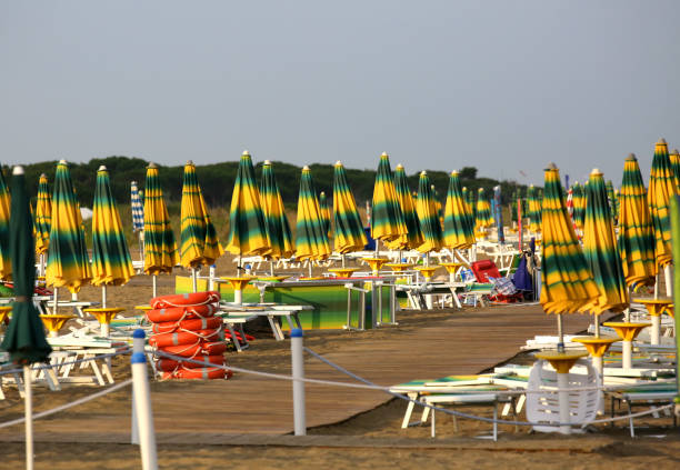 istock yellow and green umbrellas and chairs on the beach 1074808466