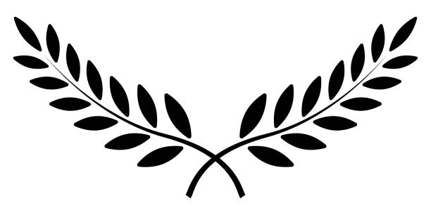 olivenzweig, lorbeer kranz, vektor gewinner award symbol, zeichen sieg und reichtum im römischen reich - lorbeerblatt stock-grafiken, -clipart, -cartoons und -symbole