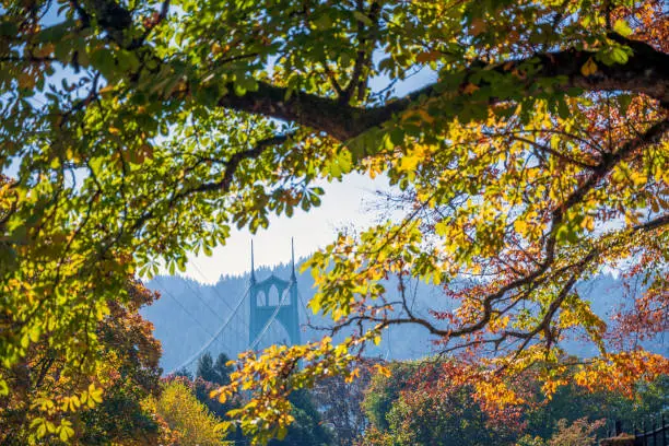 Photo of View of St Johns Bridge through the foliage of autumn trees