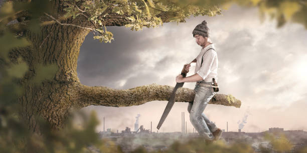 Sawing off the branch you are sitting on A man is sitting on a branch he is about to cut off. The background shows an industrial area which is polluting the surroundings. Thus the image conveys a secondary meaning towards environmental pollution. ignorance stock pictures, royalty-free photos & images
