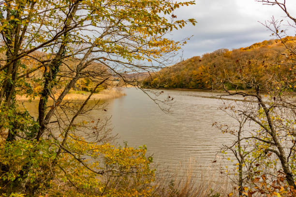istock Landscape from Belgrad forest in istanbul 1074841750