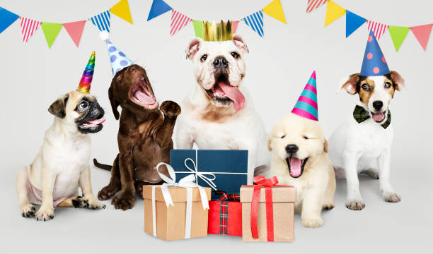 istock Group of puppies celebrating a new year 1074849372