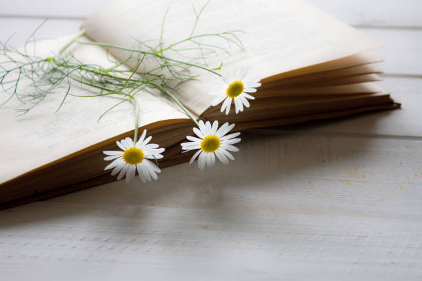 Vintage books with bouquet of flowers. stock photo