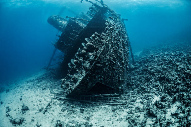 schiffbruch auf dem grund des roten meeres vollständig durch algen und korallen bedeckt liegen - bay large nautical vessel blue stock-fotos und bilder