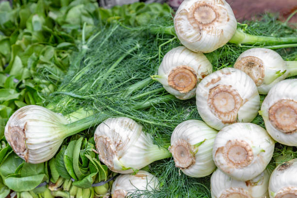 istock Whole Fennel Bulbs 1074853930