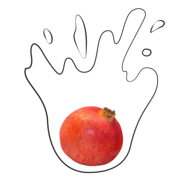 Fruit composition with fresh pomegranate and cartoon cute doodle drawing elements on white background. Creative minimalistic food concept.
