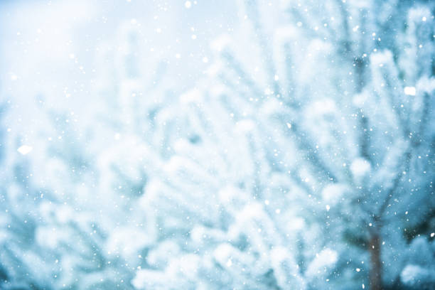 istock Winter scene - snowfall on the blurred background 1074856544