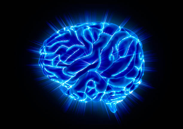 黒に分離された輝く人間の脳 - medulla oblongata ストックフォトと画像