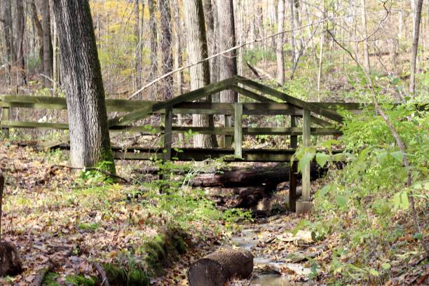 istock Side View of Wood Bridge 1074864300