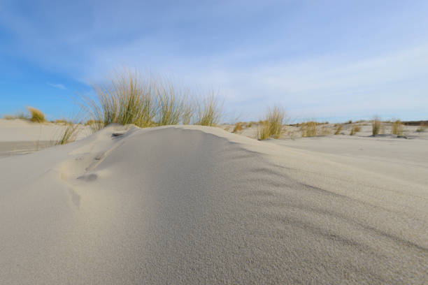 istock Small dunes at the beach during a beautiful spring day 1074865630