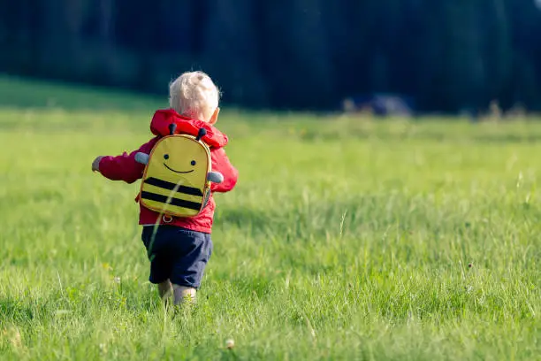Baby boy hiking with backpack on green meadow. Young child on vacations hike. Inspirational travel and tourism concept.