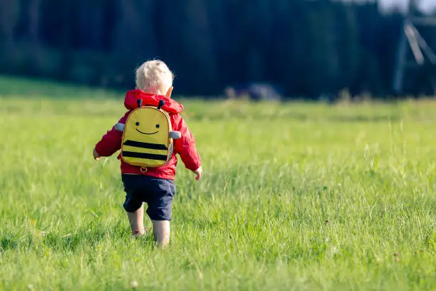Baby boy hiking with backpack on green meadow. Young child on vacations hike. Inspirational travel and tourism concept.
