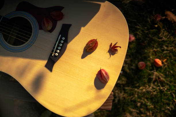 guitar on lawn