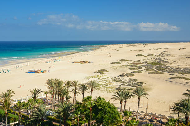 Advertising board on Fuerteventura by the beach
