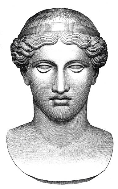ilustrações, clipart, desenhos animados e ícones de grego clássico - busto de hera, esposa e irmã de zeus - greek culture greek god statue classical greek