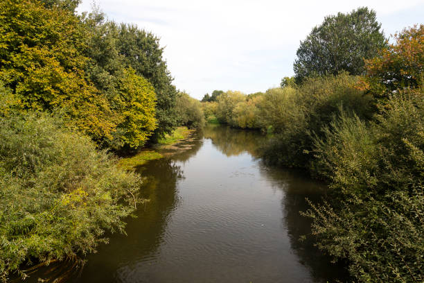 istock Small river bordered by bushes; river Roer, Limburg, Netherlands 1074878970