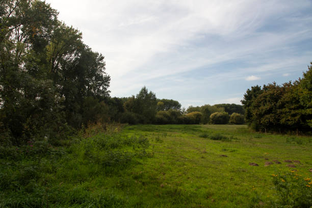 istock Typical landscape of foreland of small river 1074878992