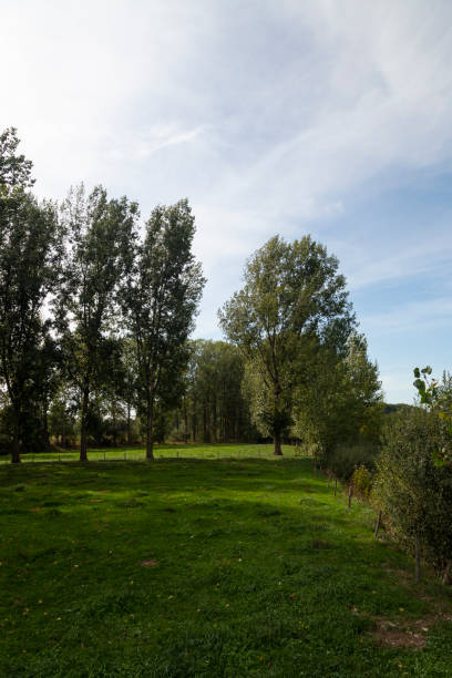 istock Typical landscape of foreland of small river 1074880046