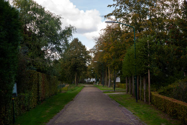 istock Dutch village road 1074881608