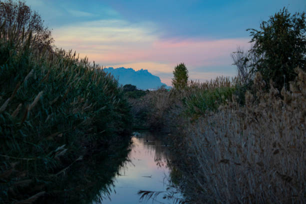 El Prat de Llobregat channel with ducks and other water birds during sunset, Montserrat Mountain far away between the cranes.