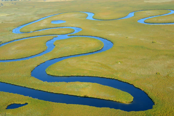 delta del okavango - delta dellokavango foto e immagini stock