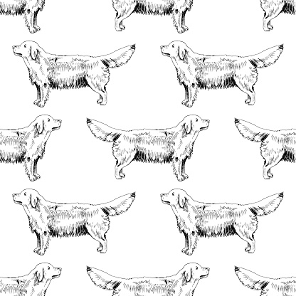 Golden Retriever Pattern Hand Drawn Seamless Pattern With Golden Retrievers Stock Illustration ...