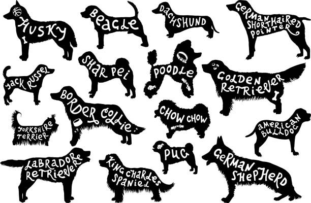 Breeds of dogs lettering in silhouettes 16 silhouettes with hand drawn dogs breeds lettering inside. Vector illustration mini shar pei puppies stock illustrations