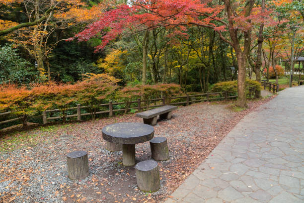 istock Stone table near Manai Fall, Miyazaki, Japan 1074899672