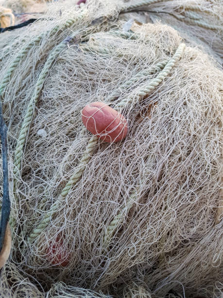 istock Fishing net in the port 1074909970