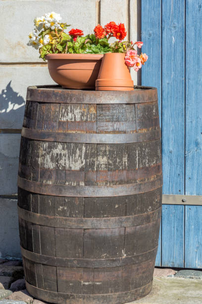 istock Wine barrel as a decoration in the garden 1074910370