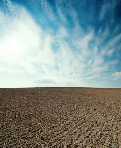istock plowed agriculture field and sunset in blue sky with clouds 1074910762