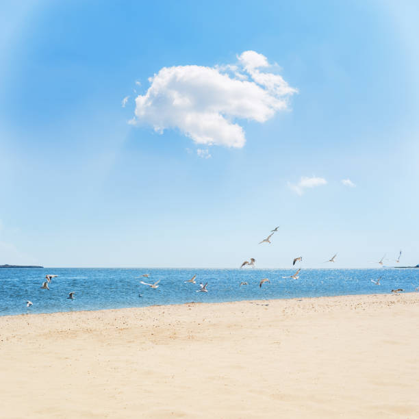 istock sand beach and blue sea under clouds 1074914390