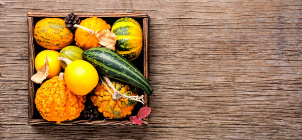 istock Diverse assortment of pumpkins 1074924536