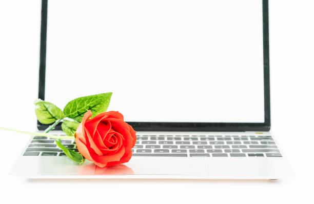 istock Red rose on laptop on white 1074924648