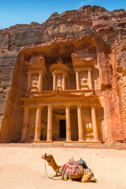 Photo of Camel used by local guides for tourists entertainment and transport in front of the Treasury, a famous landmark in Petra, Jordan.