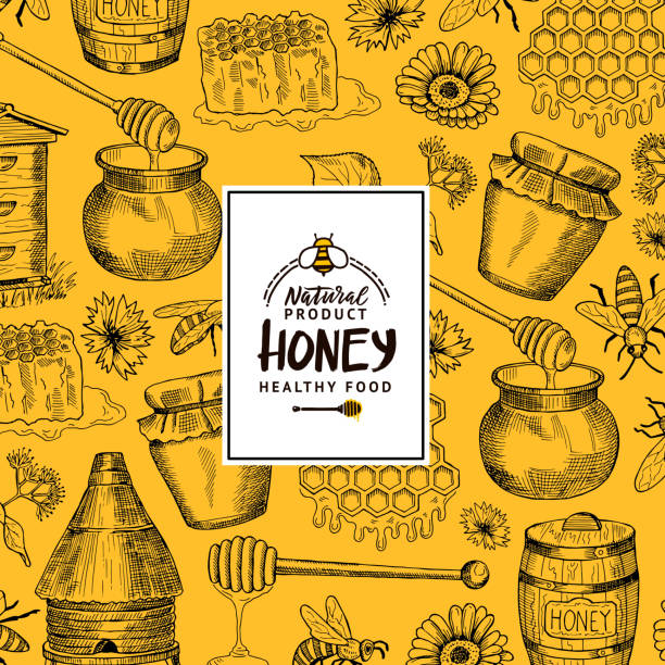 ilustrações, clipart, desenhos animados e ícones de fundo de vetor com elementos do tema esboçado mel contorneado com logotipo ou emblema para loja de pedra de afiar ou fazenda - honey crisp